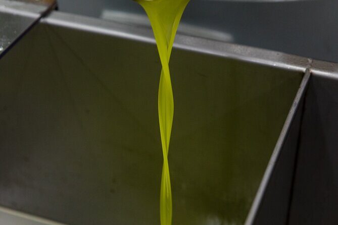 Lucca - Wine tasting at Tenuta Mareli - Final Thoughts