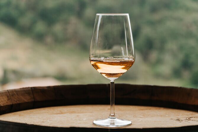 Lucca: Wine Tasting Experience - Tenuta Adamo Winery - The Wines and Olive Oil