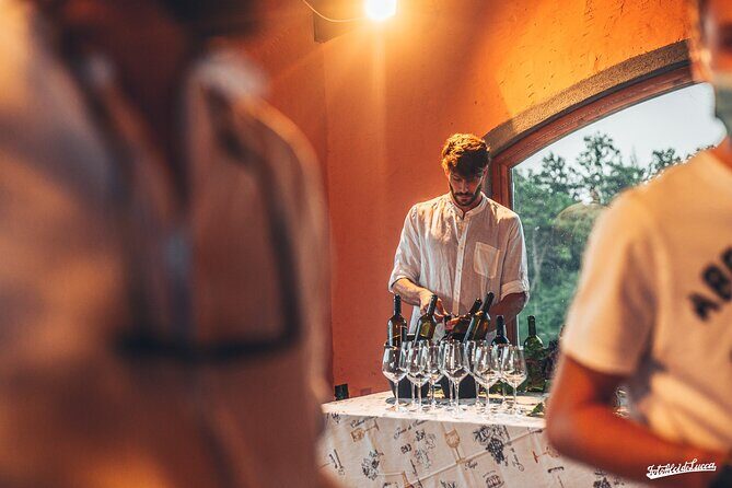 Lucca: Wine Tasting Experience - Tenuta Adamo Winery - Who Would Love This?