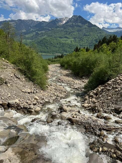 Lucerne: 4 Lakes E-Bike & Lake Lucerne Cruise Private Tour - An In-Depth Look at the Lucerne: 4 Lakes E-Bike & Lake Cruise Tour