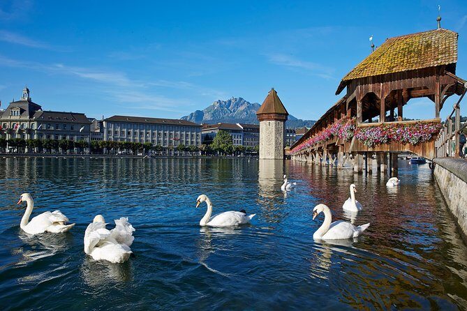 Lucerne and Bürgenstock Day Trip from Zurich - Practical Tips for Making the Most of This Tour