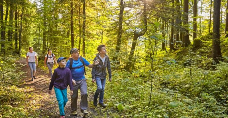 Lucerne: Guided hike on the Pilatus with barbecue experience - Who Will Love This Experience