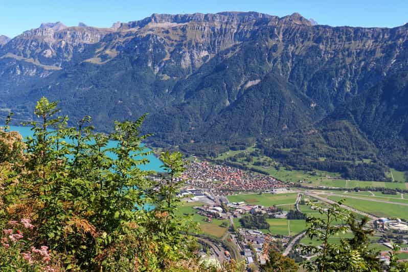 Lucerne: Interlaken & Grindelwald Exclusive Private Day Tour - A Close Look at the Tour Itself