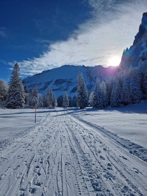 Lucerne: Private Snowshoe Tour - Exploring the Lucerne Private Snowshoe Tour: An Authentic Winter Escape