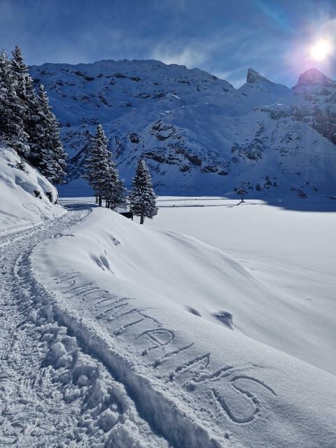 Lucerne: Private Snowshoe Tour - Transportation and Logistics: Effortless and Well-Organized