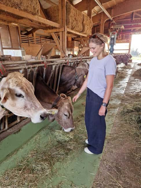 Lucerne: Small Group Countryside Tour with Cheese Tasting - An In-Depth Look at the Tour Experience
