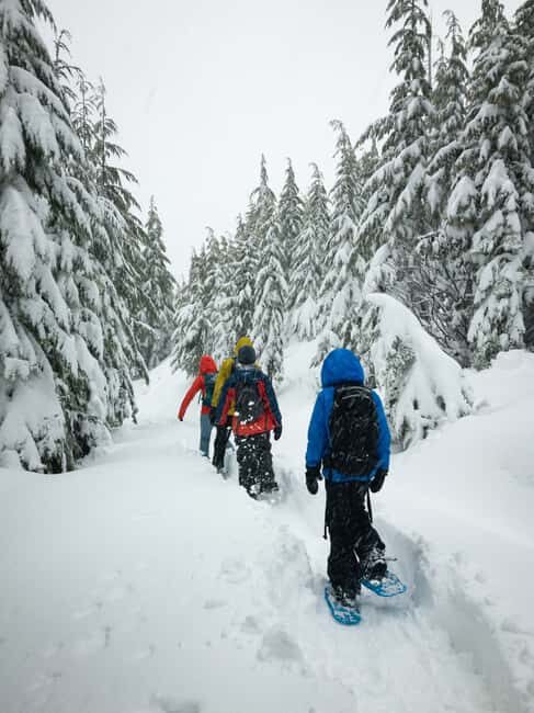 Lucerne: Snowshoe Hiking Adventure to Glaubenberg Langis - Key Points