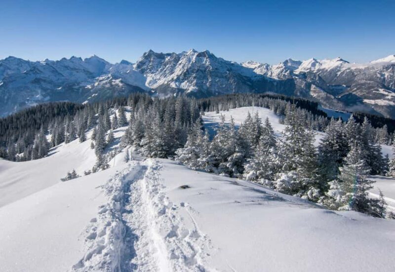 Lucerne: Snowshoe Hiking Adventure to Glaubenberg Langis - Final Thoughts