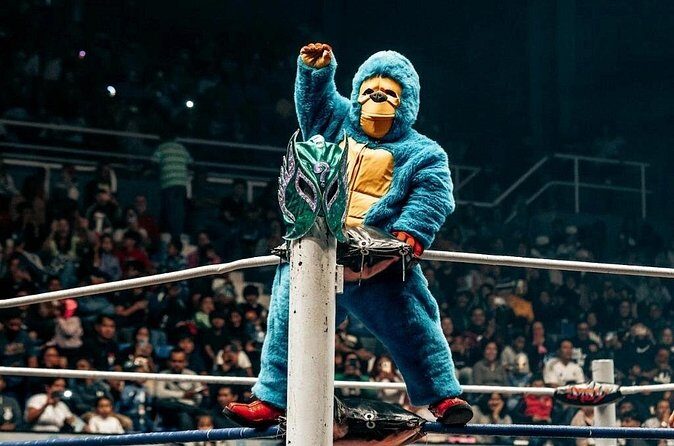 Lucha Libre and Walking Tour - FAQs