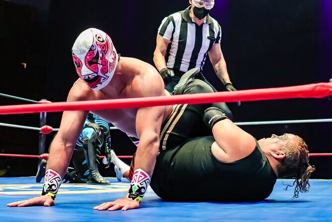 Lucha Libre, Pulque and Tacos Tour in Mexico City - Who Should Consider This Tour?