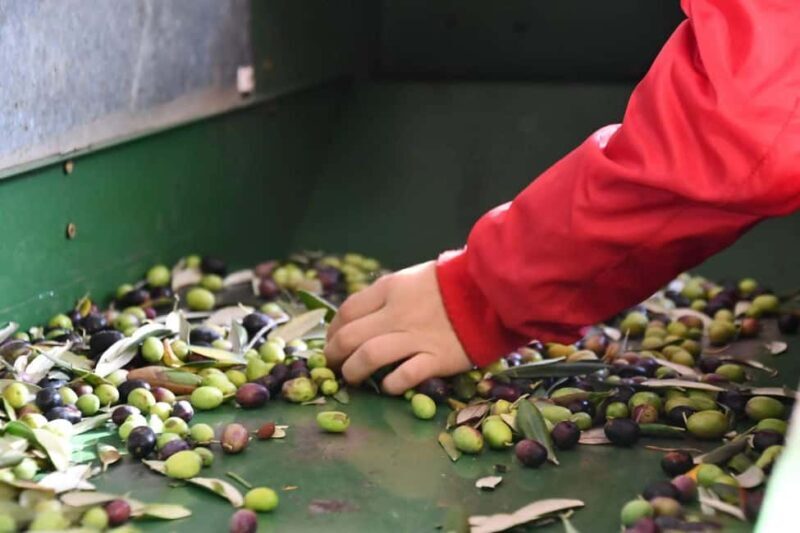 Lucinasco: a journey through flavors and traditions. Guided visit to the village. - Key Points