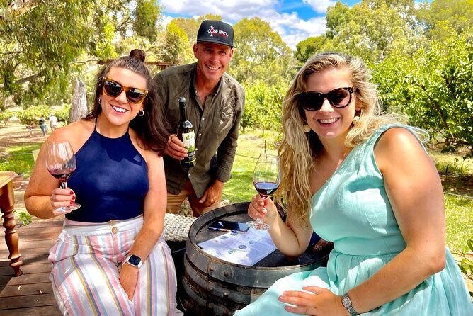 Luke's McLaren Vale Wine Tour - A Deep Dive into Luke’s McLaren Vale Wine Tour Experience