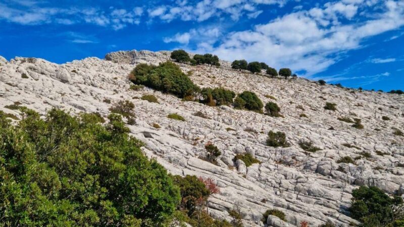 Lula: Montalbo hiking - Who Should Consider This Tour?