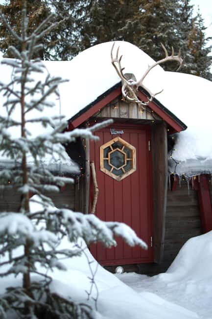 Luleå: Guided Dog Sledding Tour - Why This Tour Is Worth Considering