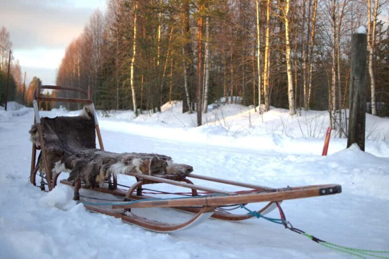 Luleå: Guided Dog Sledding Tour - FAQ