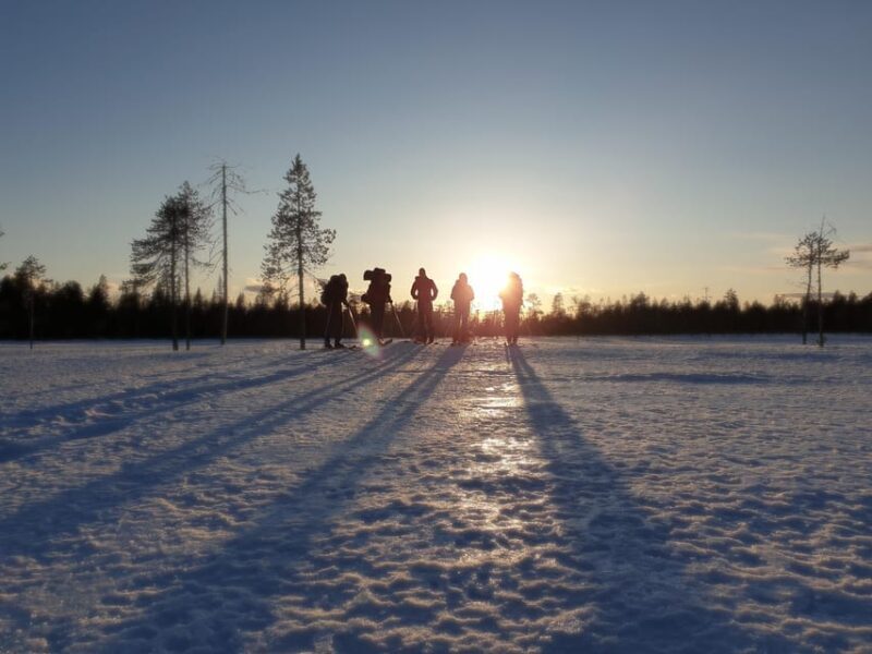 Luleå: Nordic Touring Skiing Adventure - Key Points