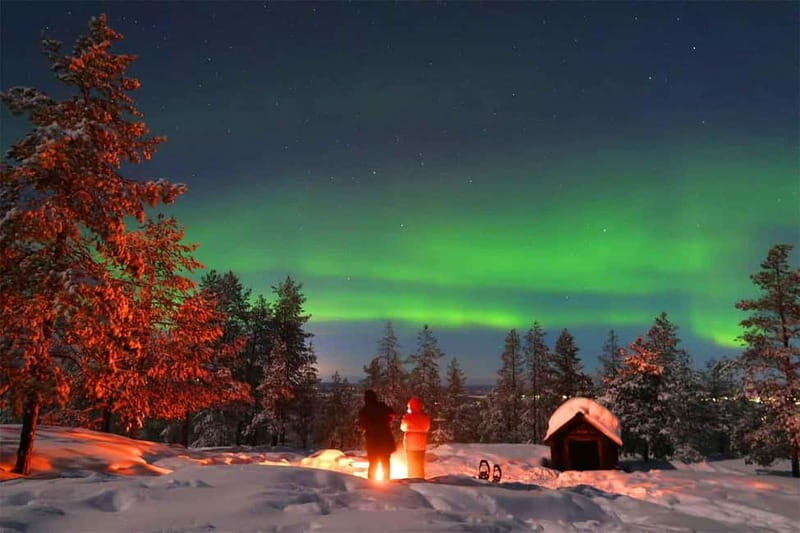 Luleå: Northern Lights Snowshoeing Tour - An Introduction to the Experience
