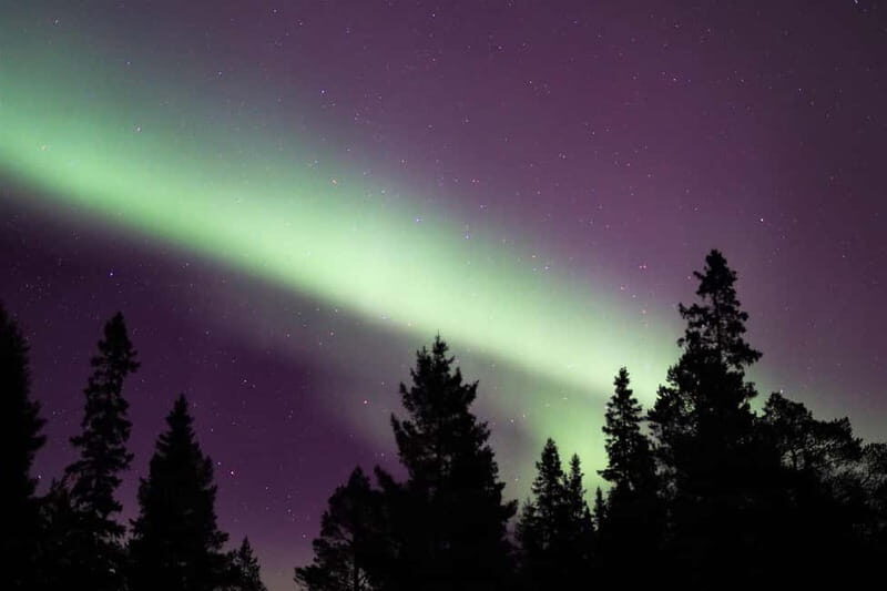 Luleå: Northern Lights Snowshoeing Tour - Key Points