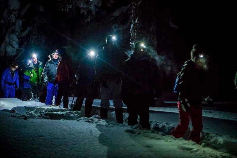 Luleå: Northern Lights Snowshoeing Tour - What About the Equipment and Comfort?