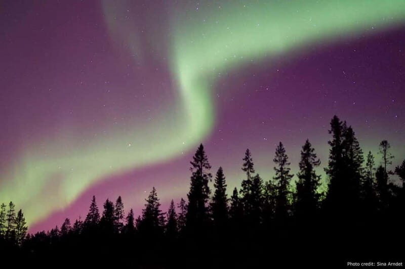 Luleå: Northern Lights Tour by Car with Guide - The Journey Begins: What to Expect on the Tour