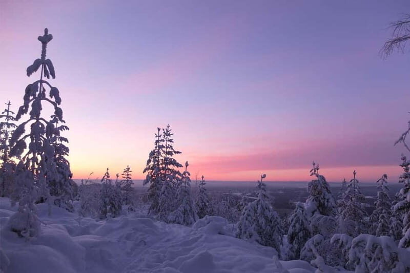 Luleå: snowshoeing in pristine nature with an expert guide! - What is the Snowshoeing Tour in Luleå?