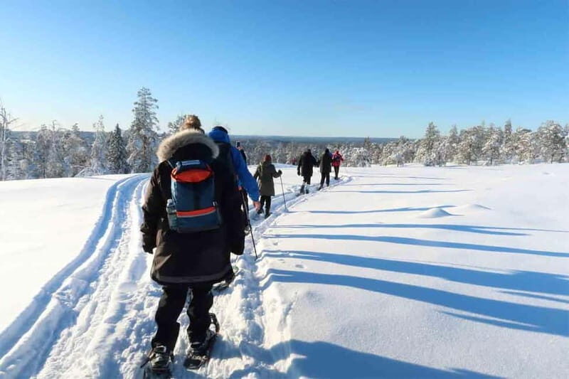 Luleå: snowshoeing in pristine nature with an expert guide! - The Route and Highlights