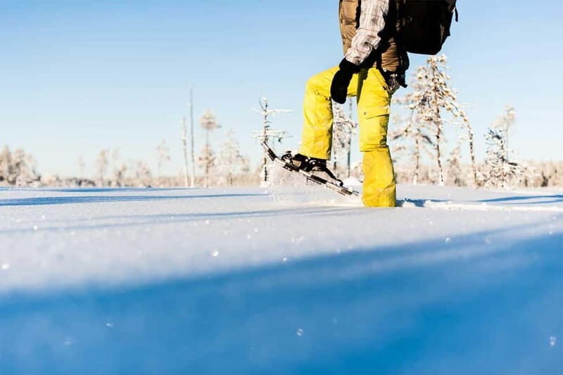 Luleå: snowshoeing in pristine nature with an expert guide! - Practicalities and What to Bring