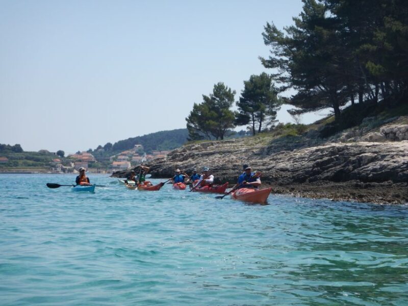Lumbarda: Half-Day Kayaking and History with Wine delight - Final Thoughts: Who Will Love This Tour?