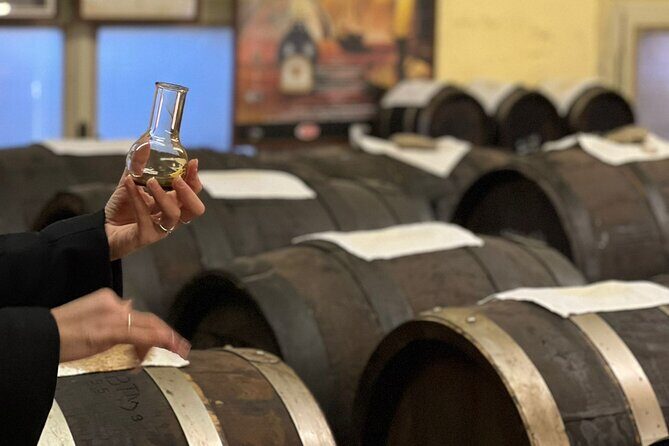 Lunch and Tasting of Traditional Balsamic Vinegar of Modena - Authentic Balsamic Vinegar of Modena: A Deep Dive into Tradition and Taste
