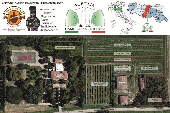 Lunch and Tasting of Traditional Balsamic Vinegar of Modena - Frequently Asked Questions