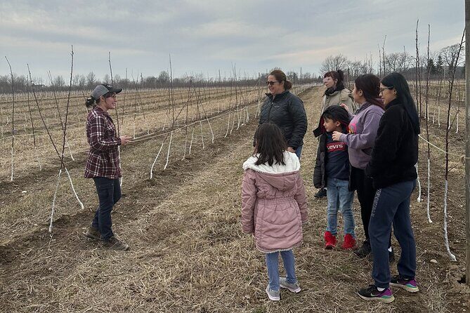 Lunch and Tour of an Apple Orchard with a Farmer in Elyria - Key Points