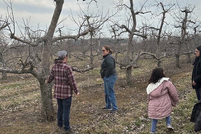 Lunch and Tour of an Apple Orchard with a Farmer in Elyria - Final Thoughts