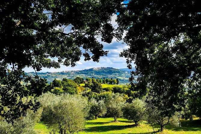 Lunch in the Olive Grove - FAQ