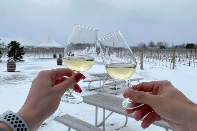 Lunch in the Vineyard: A Scenic Niagara Wine Tour Experience - Frequently Asked Questions (FAQs)