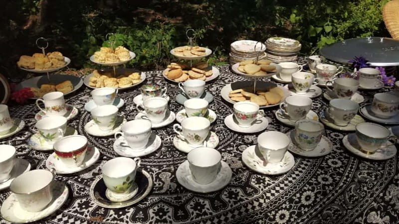 Lunch & Nature experience at Cumberland Bird of Prey Centre - Who Is This Tour Best For?