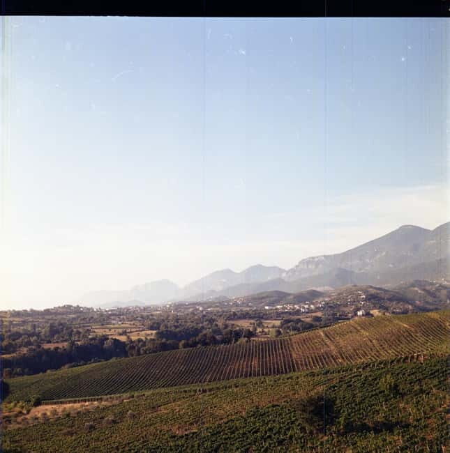 Lundër: Lundra Winery Guided Tour with Wine Tasting - Inside the Winery: From Fermentation to Bottling