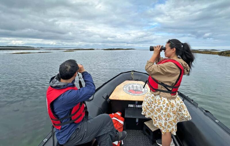 Lunenburg: Zodiac Wildlife Tour with Naturalist Guide - Practical Details and Considerations