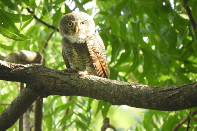 Lunugamvehera National Park Private Safari - The Setting and Location of Lunugamvehera