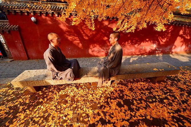 Luoyang Private Day Tour of Shaolin Temple and Longmen Grottoes - Unboxing the Full Experience