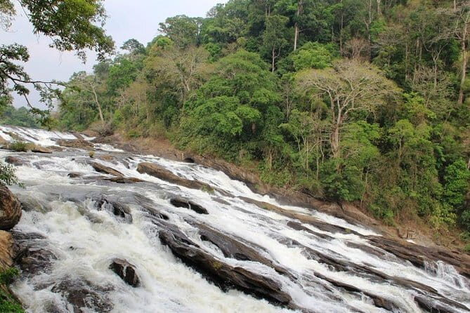 Lush Malabar Coast And Colorful Kerala - A 6 Day Private Tour - The Sum Up