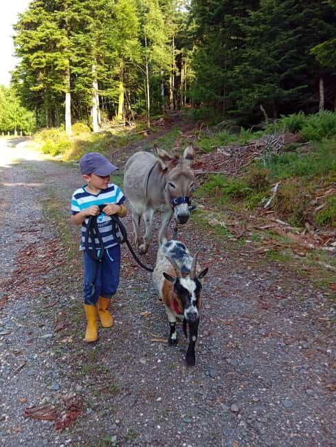 Luvigny: an unusual getaway with donkeys and goats - Practical Tips for Your Visit