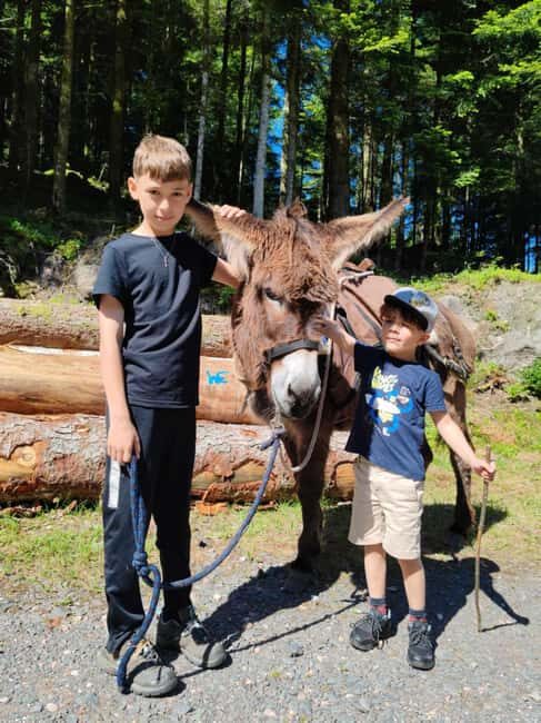 Luvigny: Donkey discovery walk - Key Points