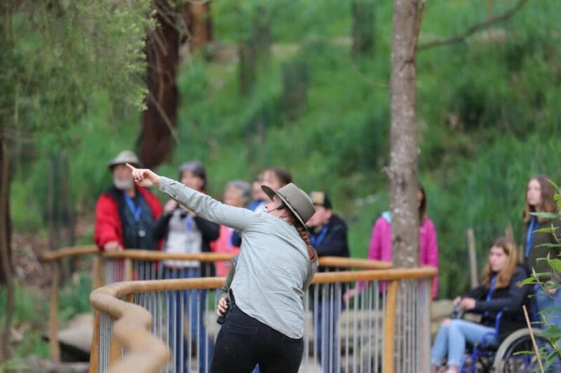 Luxe Bus Great Ocean Road Coastal Spectacular - Scenic Stops and Cultural Insights