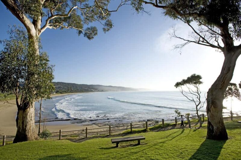Luxe Bus Great Ocean Road Coastal Spectacular - Who Should Consider This Tour?