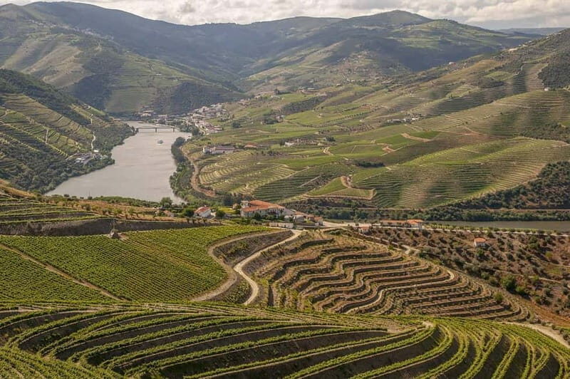 Luxurious Daytrip Lisbon to Douro Valley with Optional Stops - A Closer Look at the Tour