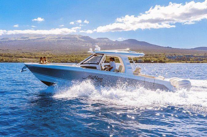 Luxury 6 passenger Boston Whaler Private Charter - Practical Details: What You Need to Know