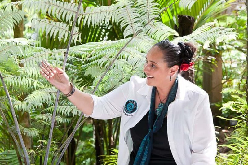 Luxury Auckland Maori Tour - Who Will Love This Tour?