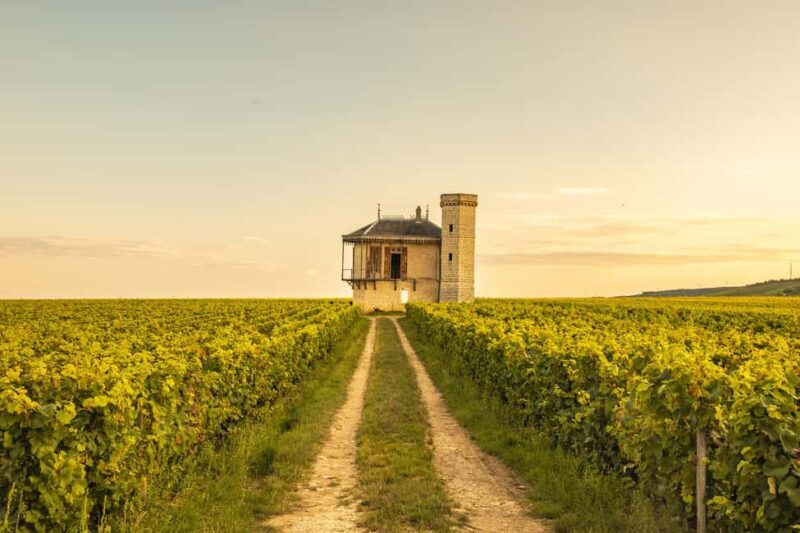 Luxury Burgundy Private Wine Tour - Discovering Burgundy’s Charm: The Experience