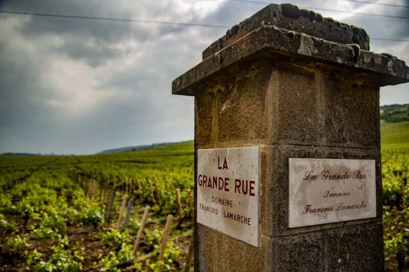 Luxury Burgundy Private Wine Tour - Who Should Consider This Tour?