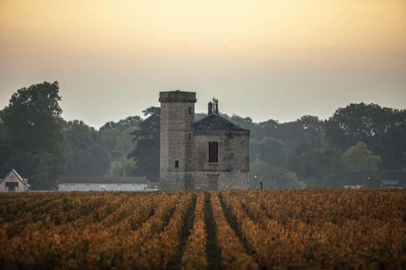Luxury Burgundy Private Wine Tour - FAQs